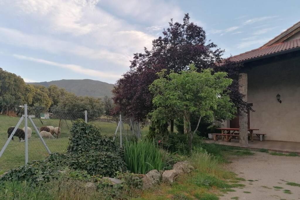 Вілла Casa Namaste - Ortigosa Del Monte Екстер'єр фото