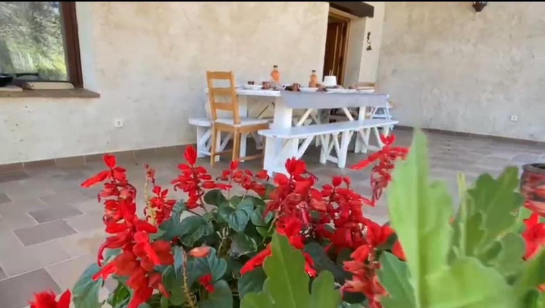 Вілла Casa Namaste - Ortigosa Del Monte Екстер'єр фото